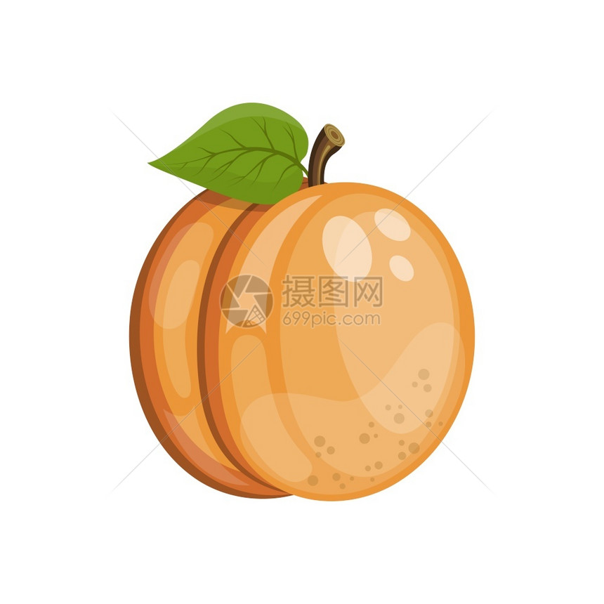成熟的卡通杏仁水果矢量插图图片