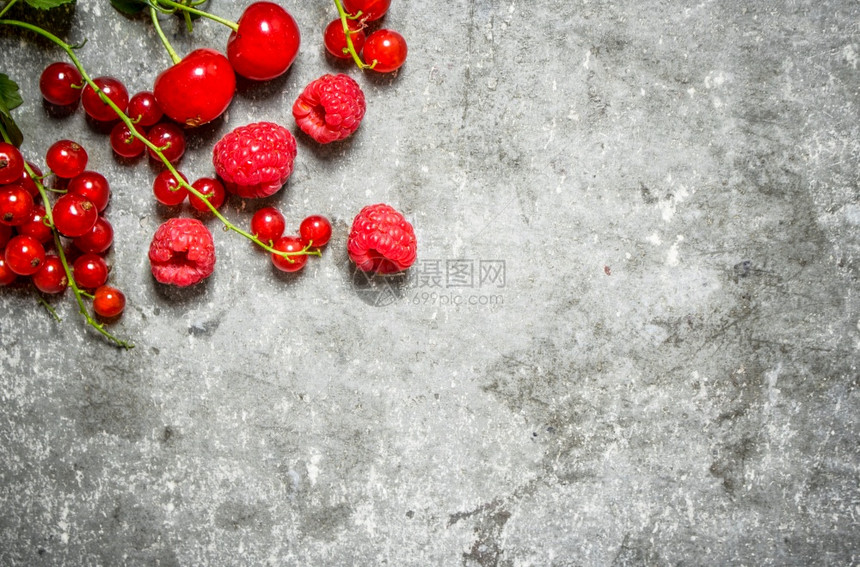 红树果子图片