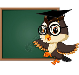 猫头鹰教授黑板猫头鹰教师插图插画
