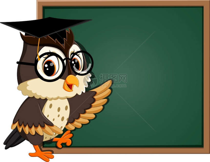 黑板猫头鹰教师插图图片