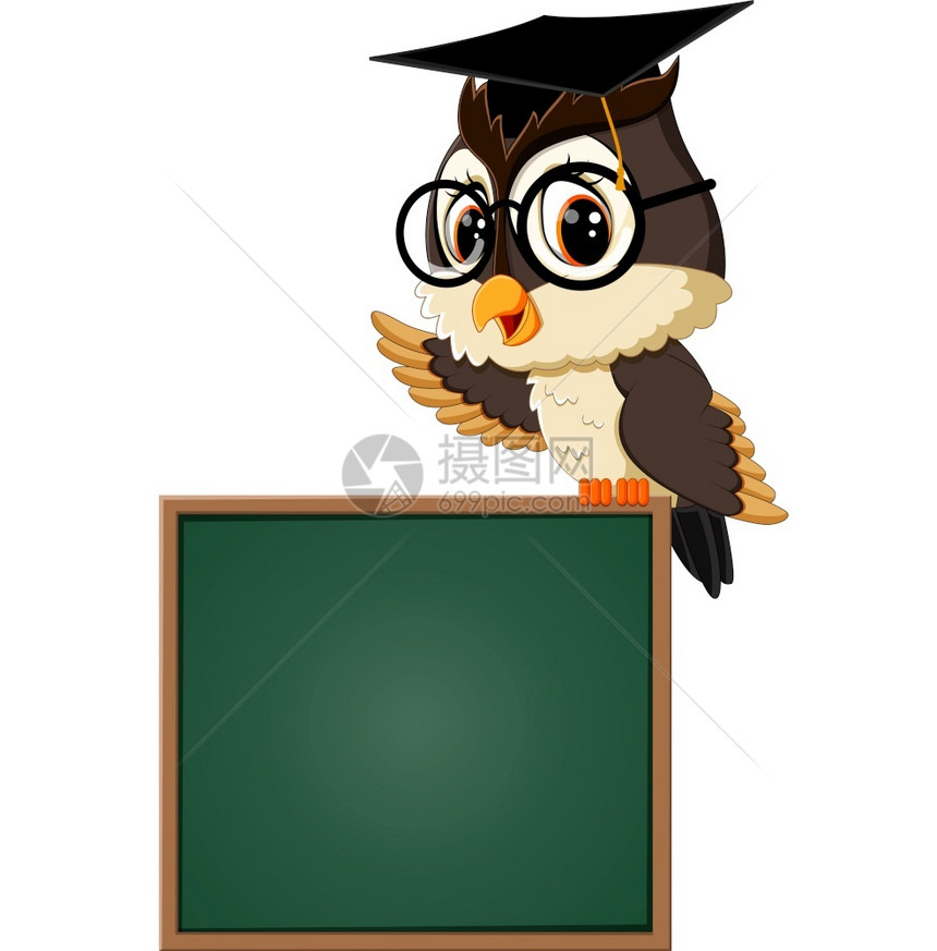 黑板猫头鹰教师矢量背景图图片