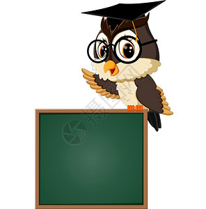 黑板猫头鹰教师矢量背景图图片