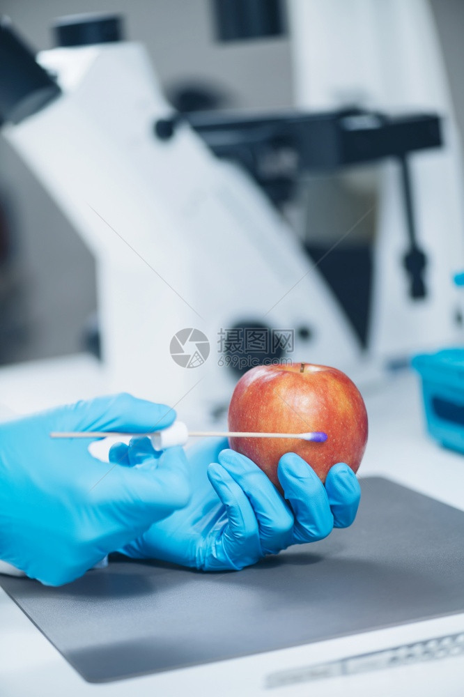 食品安全实验室分析生物化学家在苹果中寻找农药图片