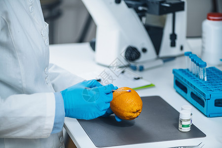 食品安全实验室技术员检查是否存在农药图片