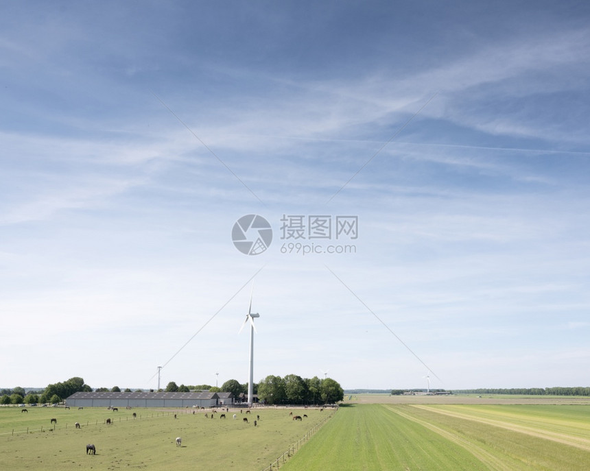 位于荷兰河内地蓝春空下佛莱沃兰杜特奇省的农场和风力涡轮机附近的马匹和风力涡轮机图片