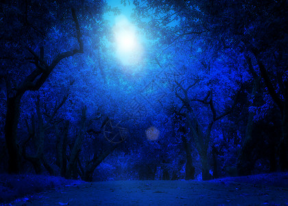 朦胧月光夜晚公园背景的蓝苹果树抽象背景