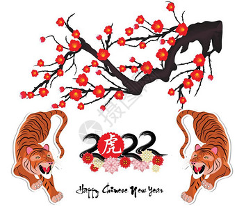 2022年虎年新年卡通老虎封面矢量插画设计模板背景图片