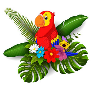 热带花和巨嘴鸟矢量元素图片