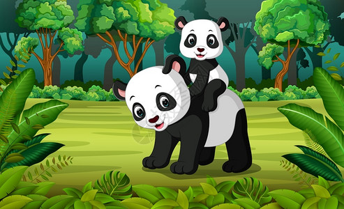 森林里有熊猫和宝图片