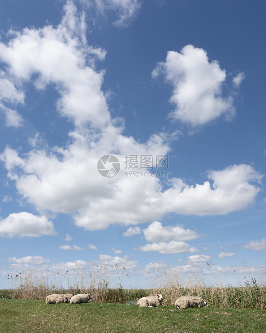 蓝天空中的白云典型指丘风景图片