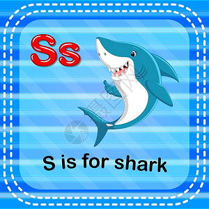 幼儿字母表shark图片