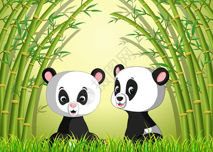 皇竹草竹林里的两只可爱熊猫插画
