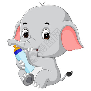 带有奶瓶的大象婴儿图片