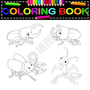 昆虫彩色本图片