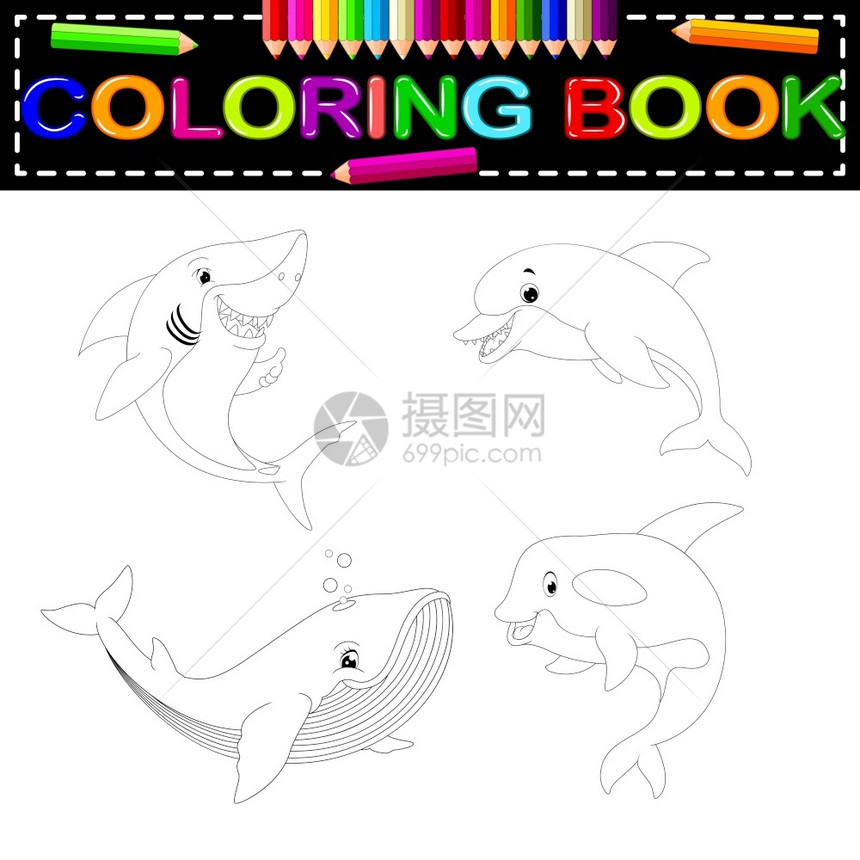 鱼类彩色本图片