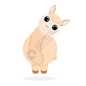 羊驼素材卡通羊驼矢量设计插图插画
