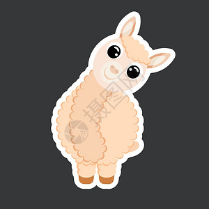 可爱小羊驼以平板矢量样式显示的可爱Alpac粘贴标签模板插画