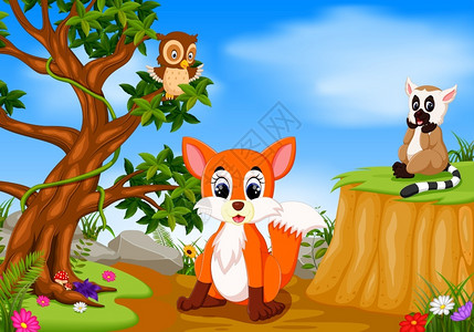 卡通可爱狐狸猫头鹰和猴图片