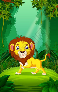 丛林中的狮子图片