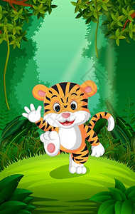 潮湿森林丛林中的老虎插画