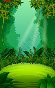 森林绿植图片