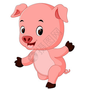 粉红色小猪有趣的猪插画