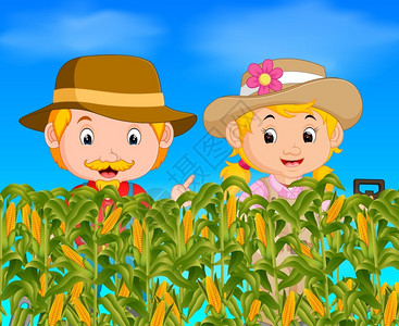 玉米田里的两名农民图片
