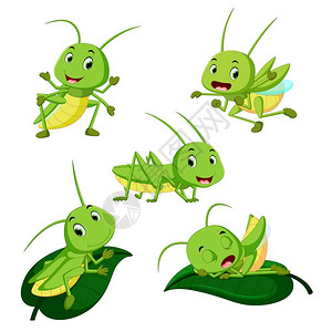 卡通可爱的昆虫图片