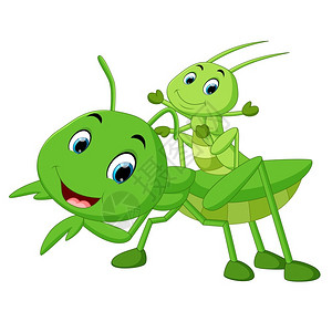一只小螳螂卡通可爱的昆虫插画