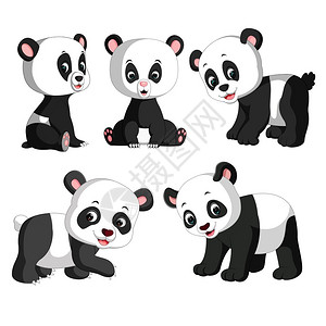 不同姿势的可爱熊猫背景图片
