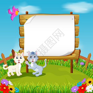 三只小猫边框木板空间和花旁的两只小猫设计图片