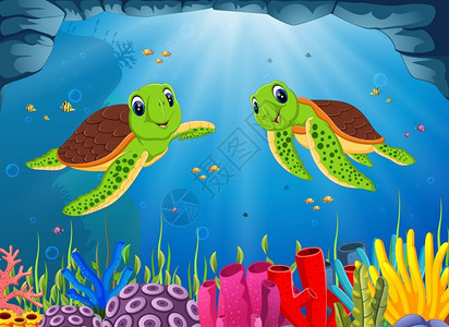绿壳土鸡蛋海洋中两个绿海龟游泳插画