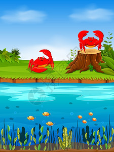 宾夕法尼亚草地上的红螃蟹和草原前的一条大河自然风景插画