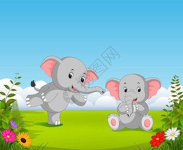 两只灰大象在花园里一起玩耍高清图片