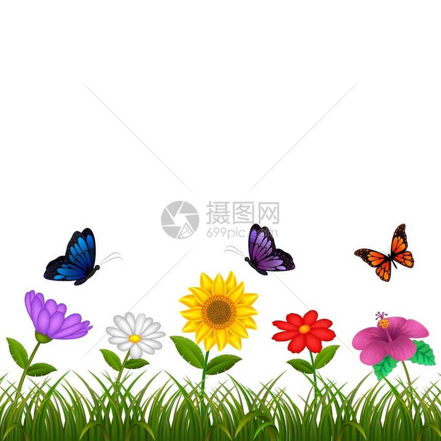美丽的花朵和蝴蝶图片