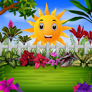 四照花太阳照射下的美丽花园插画