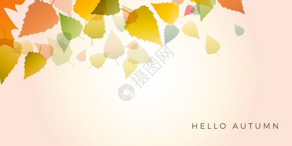 秋季销售背景布局配有秋季的叶子海报和框架传单或网络标语矢量模板图片