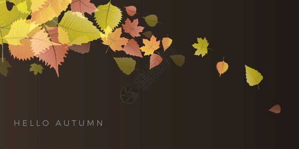 秋季销售背景布局配有秋季的叶子海报和框架传单或网络标语矢量模板图片