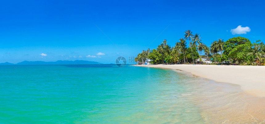 夏日在泰河沿岸的KohSamui岛有棕榈树的热带海滩图片