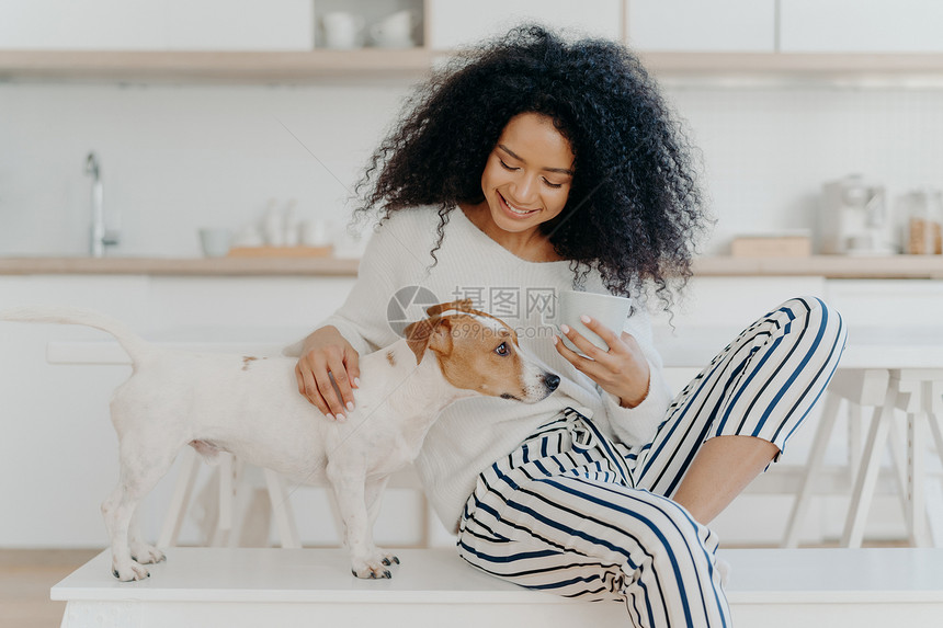 可爱的非洲女有咖啡休息抚摸小狗坐在舒适的白色长椅上坐在厨房背景上带着快乐的笑容人照顾爱和动物的概念图片