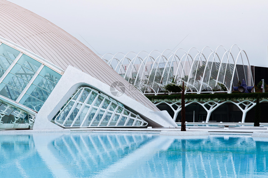 201年oct3120ValenciSpn现代艺术和科学城市建筑蓝色游泳池由Santigocltrv和felixcandel设计图片
