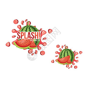 红西瓜水果果汁饮料插图标签图片