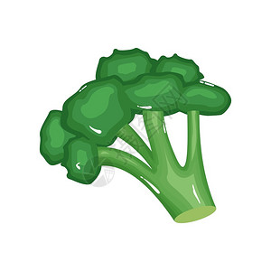 绿色西兰花蔬菜天然健康食品公寓矢量说明插画