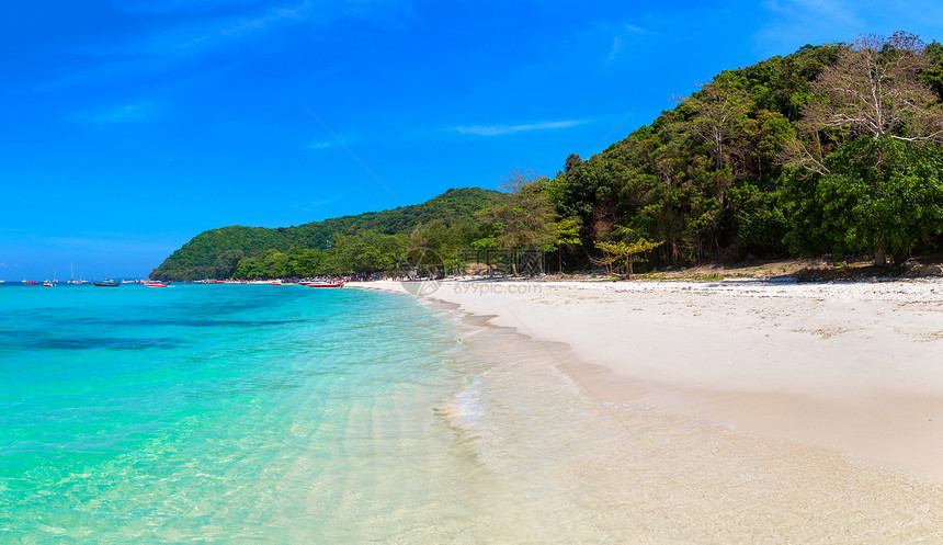 夏日在泰国普吉岛附近的珊瑚图片