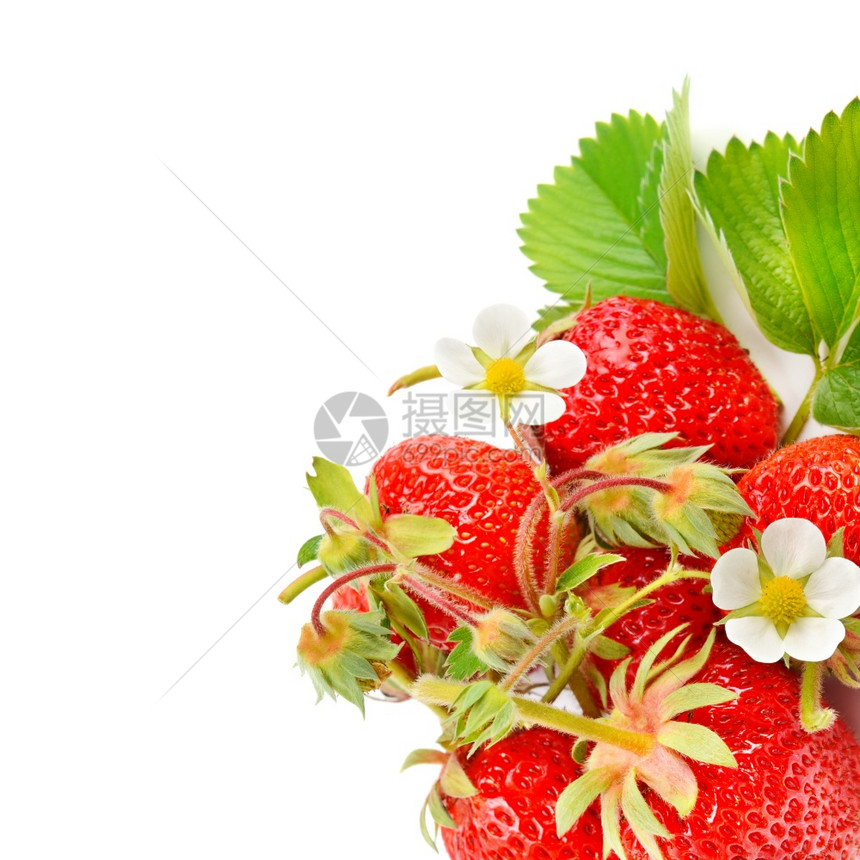 在白色背景上隔离的草莓健康食物免费文字空间图片