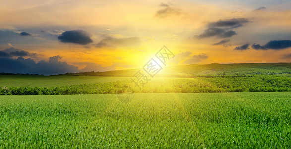 绿地太阳和蓝天空农业景观宽幅照片图片