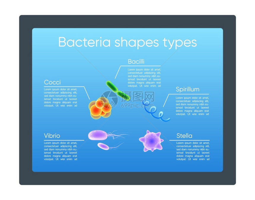 细菌形状了现实的颜色矢量信息模板类型微生物海报小册子带有3d插图的pt页面概念设计广告传单信息横幅概念细菌形状了现实的颜色矢量信图片