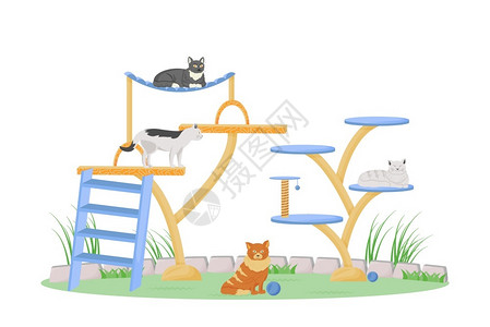 可爱小猫在游戏场上玩耍插画图片