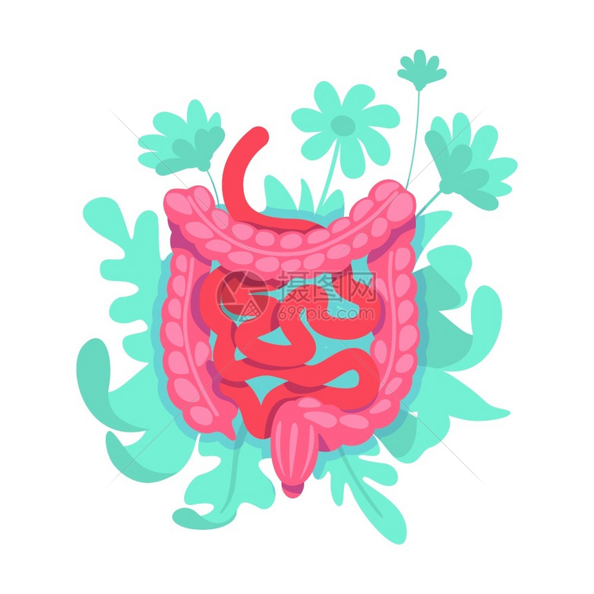 大型肠胃系统消化道矢量图图片