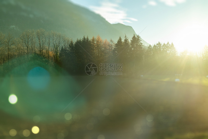 austri秋天阳光下的自然景观模糊图片